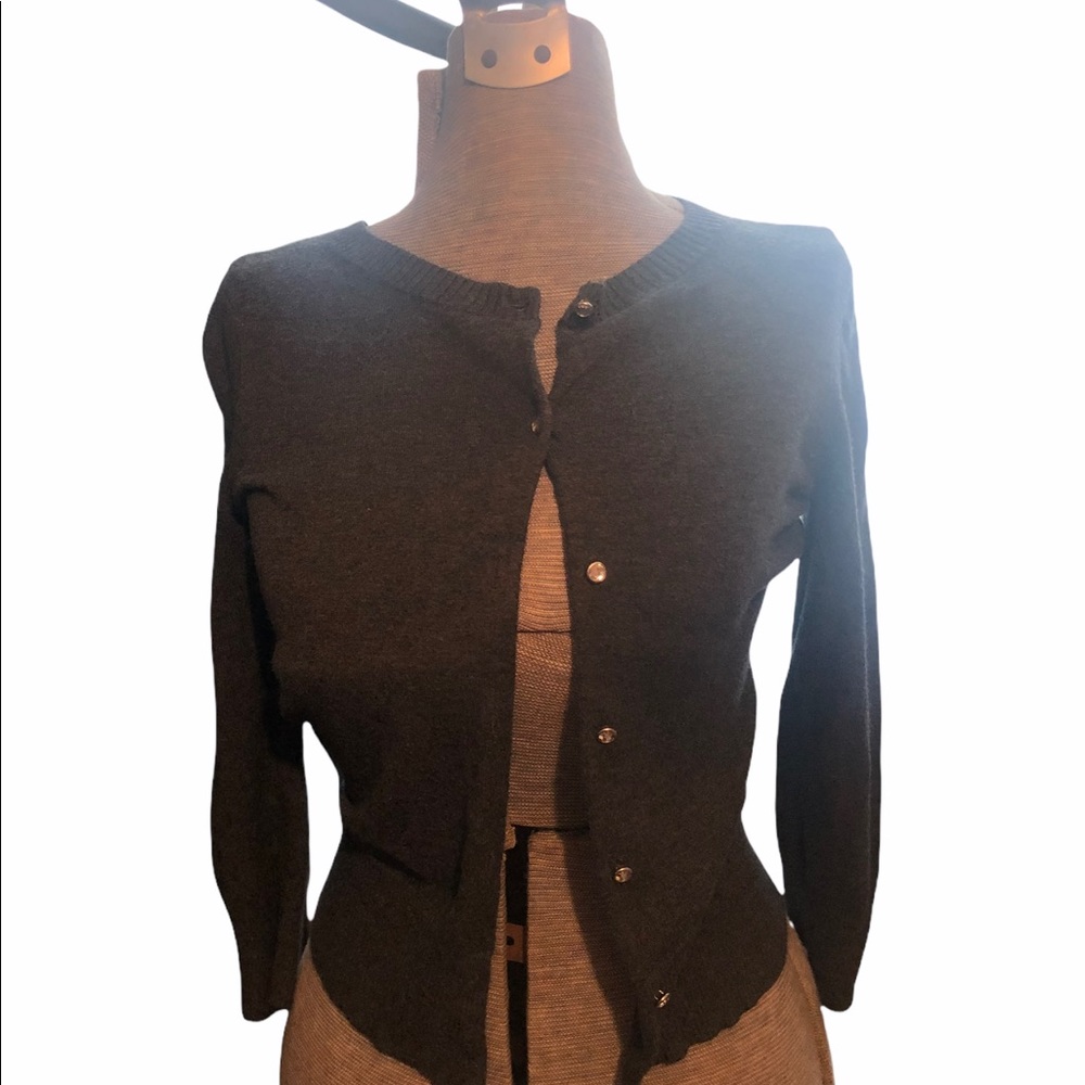 Express gray cropped sweater